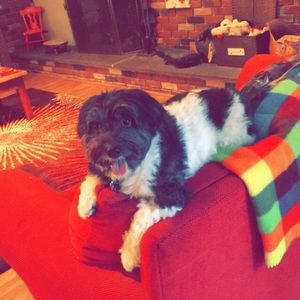 Meet your Posher, Sammi